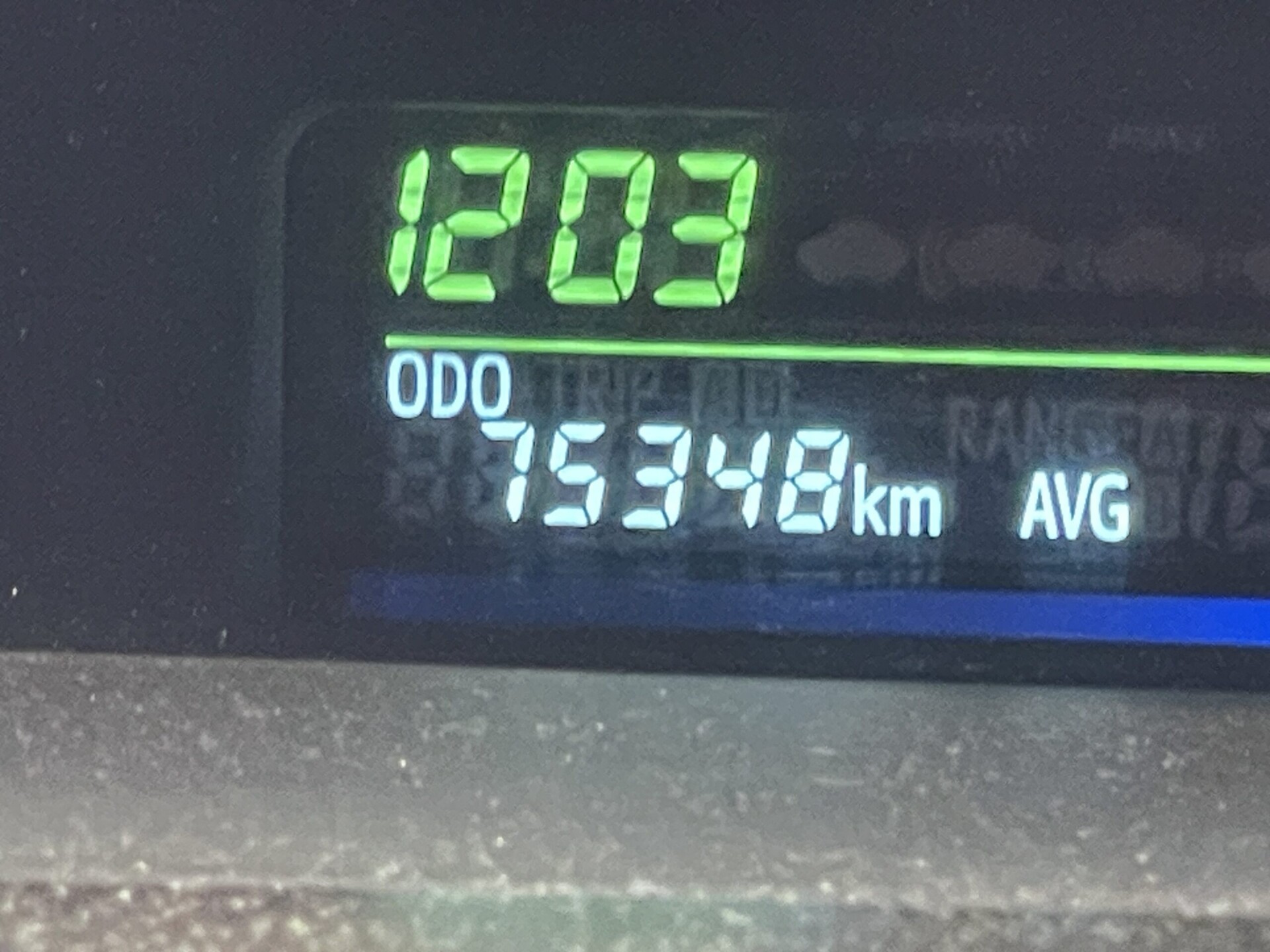 31
