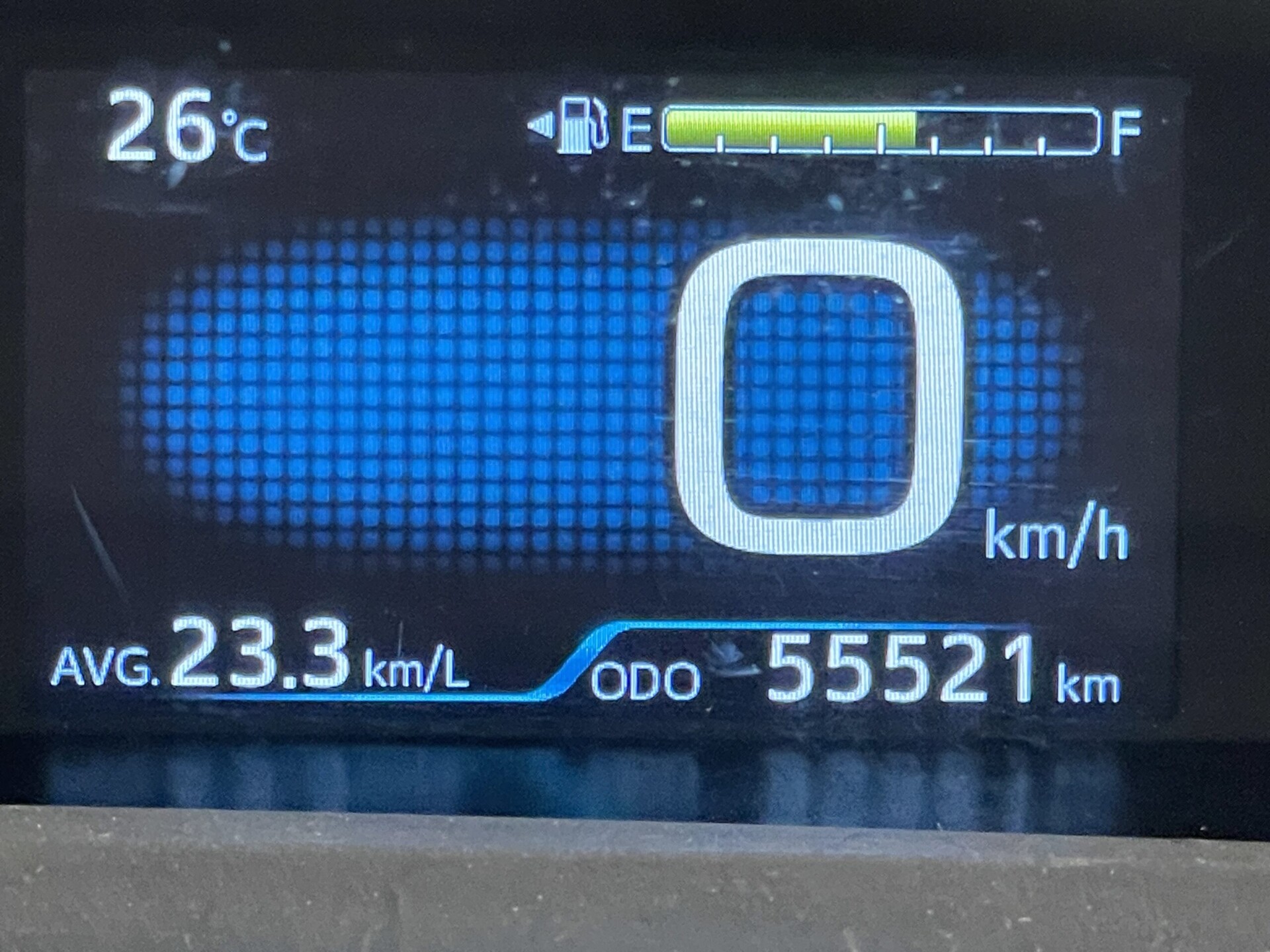 31